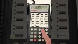 Avaya Partner auto privacy