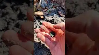 Nice 1879 Indian head cent i found #metaldetecting #fyp #foryou #history #coin #oldcoin #satisfying