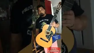 Jose el flamenkito - Recuerdo aquella tarde