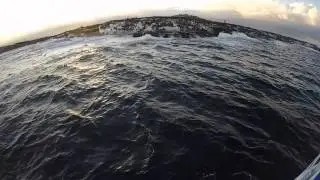 Shark Cage Diving - False Bay, South Africa