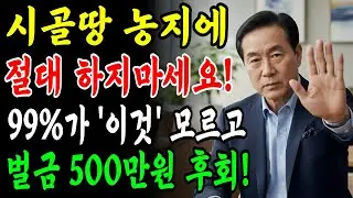시골땅 방치하면 벌금 500만원? 2026년부터 달라지는 농지법 제도!