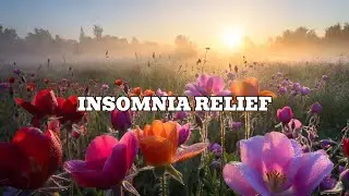 Insomnia Relief Late Night Healing 🌙 Soft Piano to Relax, Heal & Let Go (3 Hours)