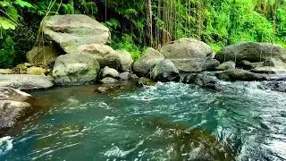Peaceful River Sound Healing to Relieve Emotional Tension and Mental Fatigue