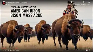 The Dark History of the American Bison Massacre