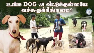 உங்க Dog அ வீட்டுக்குள்ளயே வச்சுருக்கீங்களா ?🐕&zwj;🦺💯 | Alangu Dog farm | #doglessons #dogslife