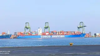 Chennai to Jebel Ali ocean freight rates April month 20'GP/40'HC