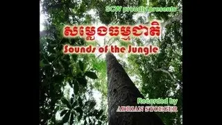 Phnom Samkos Wildlife Sanctuary 1/4 - Chirping & Birds - Sounds of the Jungle
