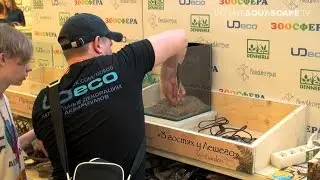 MiniGarden Aqua design contest 2015 - setting up of the 5th place