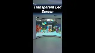 Transparent LED Screen & Interactive Projection | Immersive 3D Display for Events and Exhibitions