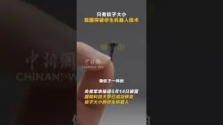 China's Mosquito-Sized Spy Drone: A New Era of Micro Surveillance #chinadrone   #SpyDrone