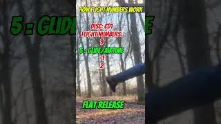 Flight Numbers Explained! #discgolf #frisbeegolf