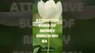 Unlock the Abundance Frequency in Seconds ✨