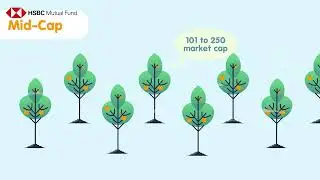 Mid-Cap vs Small-Cap Funds: Which Growth Engine Drives Your Wealth?