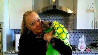 World Turtle Day! May 23rd 2022