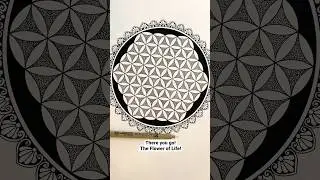 Flower of Life | #shorts #mandalaart #mandaladrawing #monochrome #stippling #seattleartist #fineart