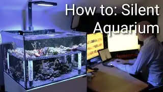 How To Setup A Saltwater Aquarium For Beginners (Silent Aquarium)