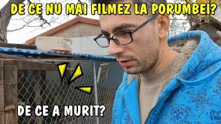 Viața la țară - Am găsit o turturică moartă - De ce nu mai filmez la porumbei?