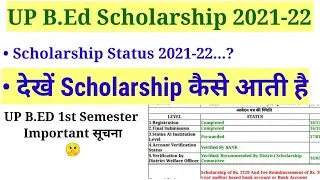 UP B.Ed Scholarship 2021 | b.ed scholarship letest update | how to check Status | The Let's Learn