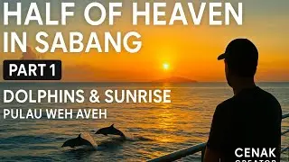 Half of Heaven in Sabang 🌊 Dolphins & Sunrise #TravelReflection #SabangJourney #CinematicTravel
