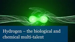 Hydrogen &ndash; the biological and chemical multi-talent