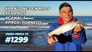 Excelente pesca en mar del Plata: PANZONES y ESCARDONES, CORNOS en San Cayetano, Torneos #Prog 1299