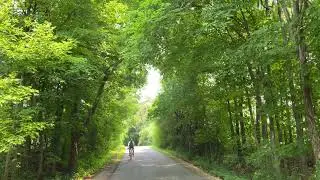Unique Wisconsin - Rustic Road 46