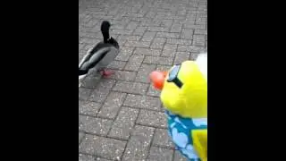 Pete the Duck - Episode 1, 