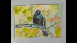 Easy way to paint crow/bird using watercolour