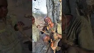 Hadzabe elder feed his grandson traditional meals in the wild.#usa #africa #funny #comedy
