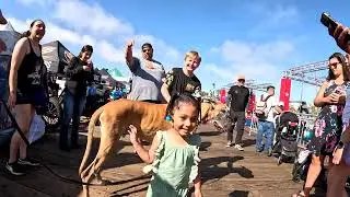 Cash 2.0 Great Dane meeting new people in Santa Monica 147