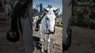 Легендарное седло &laquo;Змея&raquo; для белой арабской лошади | Red Dead Redemption 2