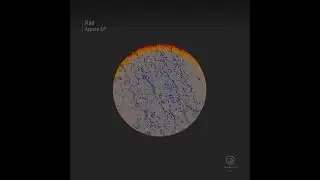 R&aring;d - Appaia