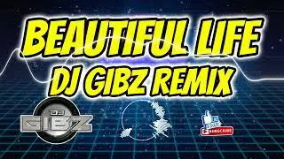 Beautiful Life (Dj Gibz Remix) | DISCO REMIX 2023