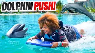 You Won't Believe How It Feels To Be Pushed By Dolphin | A Dolphin named Finn Encounter Blue Lagoon