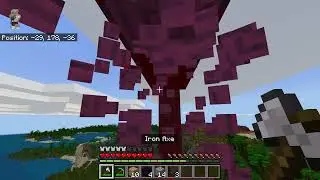 How I BEAT 2D Minecraft...