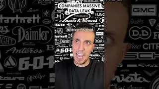 Companies Massive Data Leak