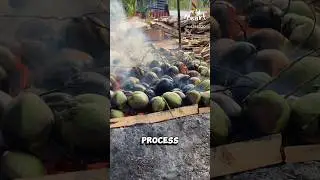 Why Are They Burning These Coconuts?