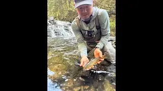 Fly Fishing Vermont in the Fall