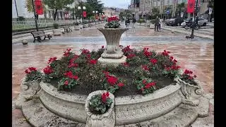 Shkoder Walking
