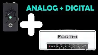 Fortin 33 Pedal (analog) + Fortin Cali Amp (digital)