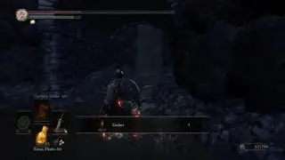 Who even needs a silver cat ring ds3