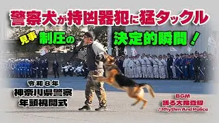 警察犬が持凶器の犯人に猛タックル！ 見事制圧の決定的瞬間 / 令和8年神奈川県警察年頭視閲式 2026.1.14