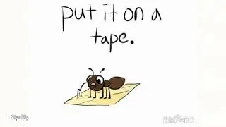 How to Torture an Ant (Tutorial!)