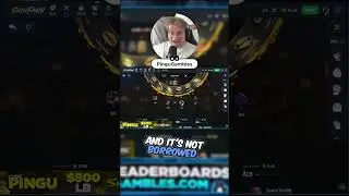 HUGE $500 PULL ON SKINFANS! #skinfans #gambling #csgogambling #cs2 #cs2gambling #codepingu
