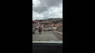 Sheep Traffic Jam in Peru! 🇵🇪 #Shorts