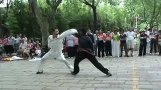 Zhen Wei Academy Mizong quan (yan qing quan), jin ji dou (Golden Roosters Fighting) 2010