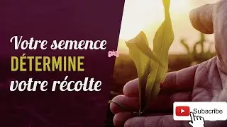 comprendre le principe de la semence et de la récolte selon la bible | La Clé de la Prospérité