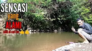 MANCING MELEM DI SUNGAI PEDALAMAN, sungai magung WONOSOBO