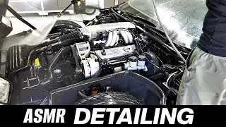 1984 Corvette Barn Find Car Wash | ASMR Satisfying Detailing Part 1