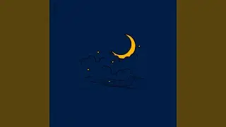 Midnight Flight